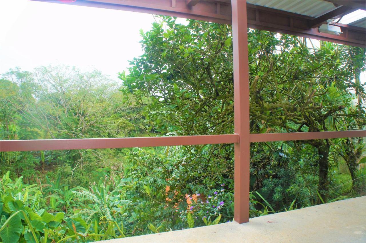 Casa Donna Rosa B&B Nuevo Arenal Exterior photo